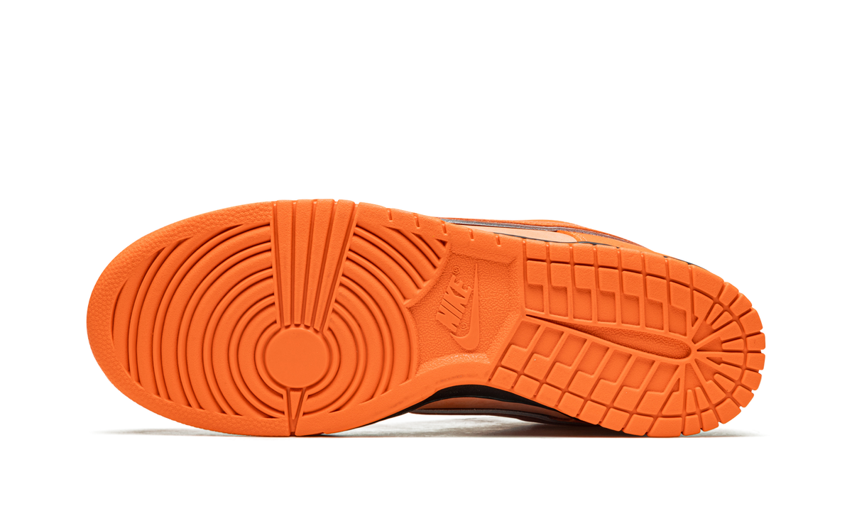 SB Dunk Low 5