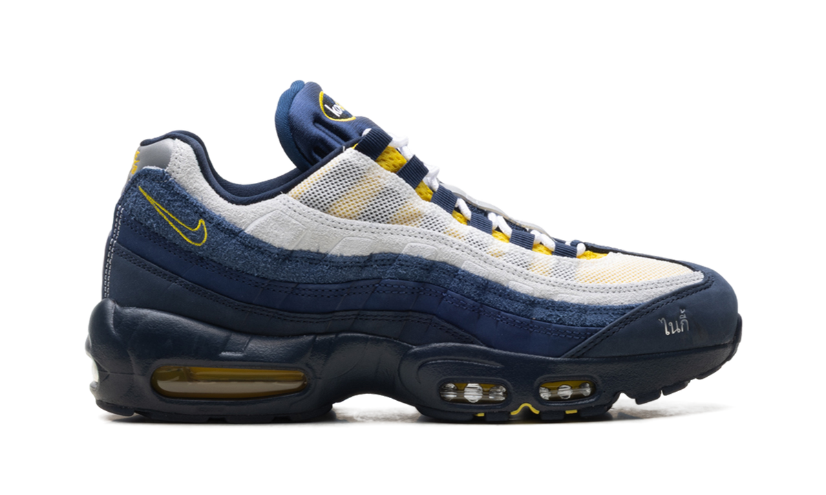 SB Air Max 95 6F