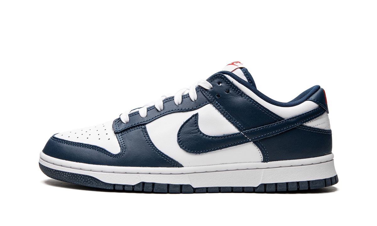 Dunk Low Retro 8E