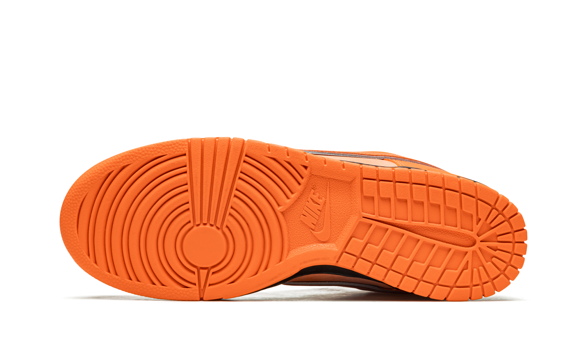 SB Dunk Low 5