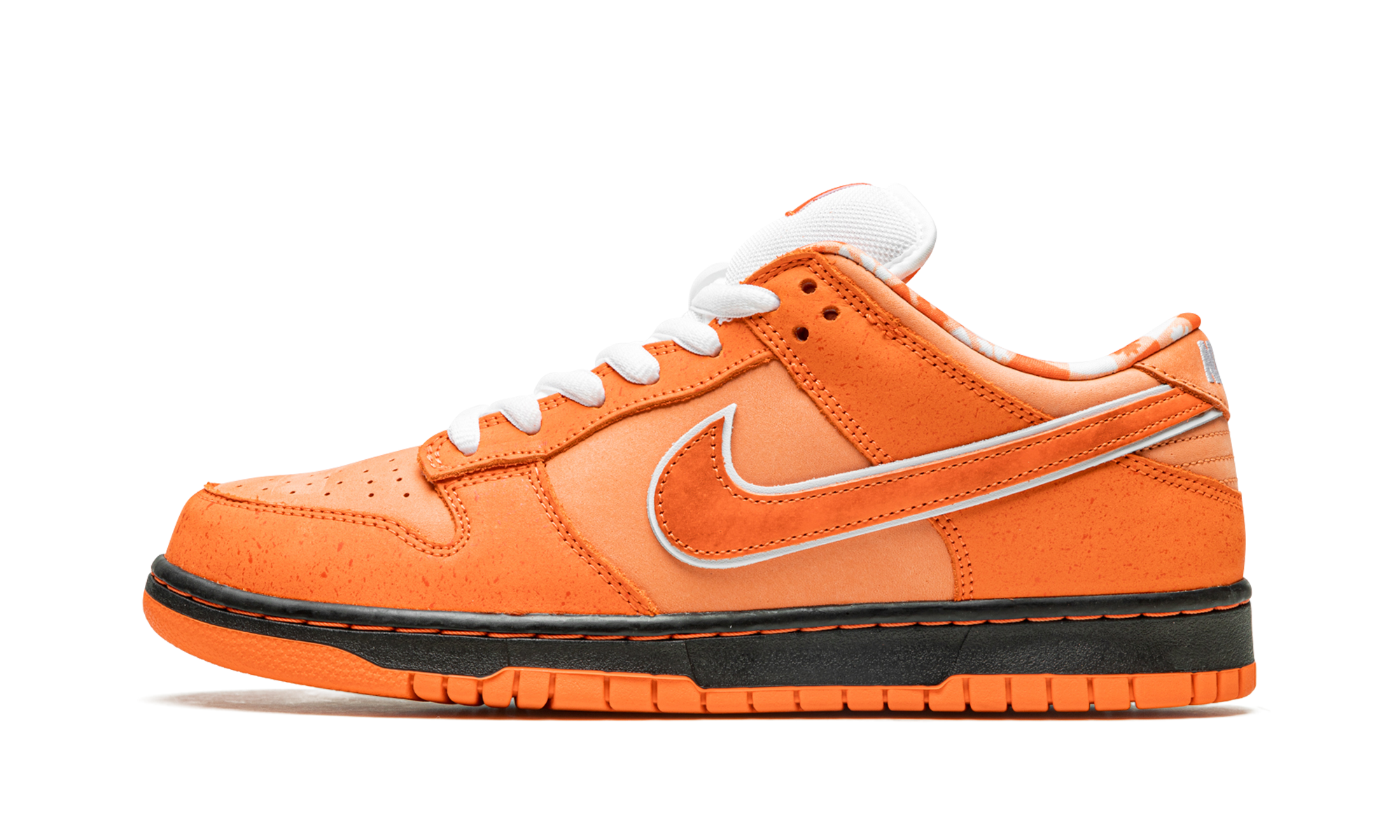 SB Dunk Low 1