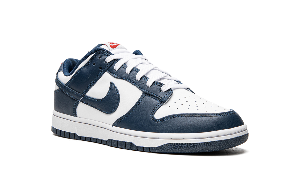 Dunk Low Retro 7FS