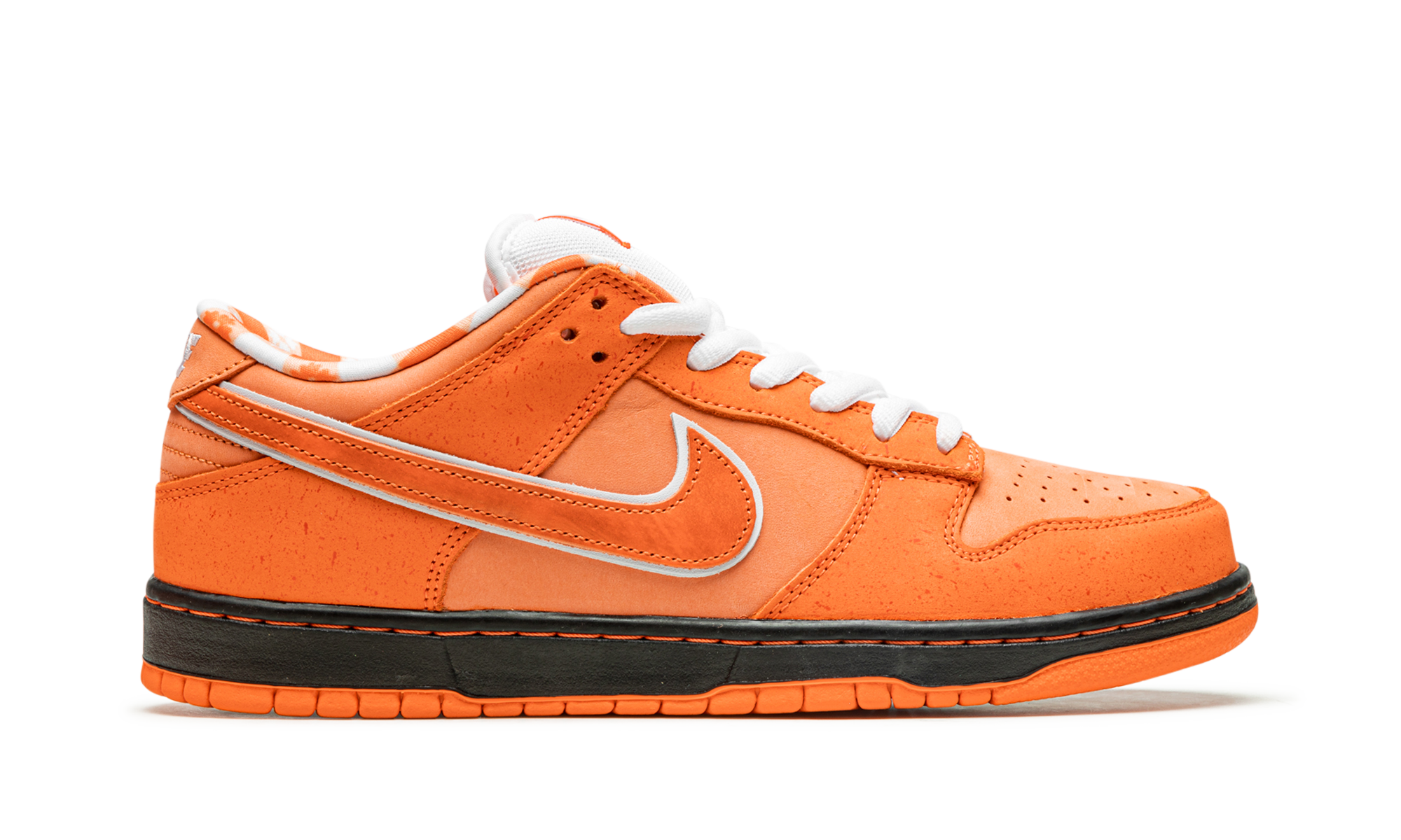 SB Dunk Low 6F