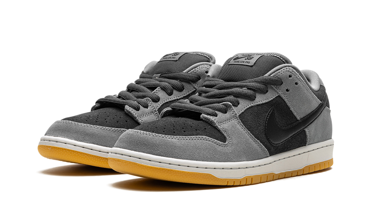 SB Dunk Low 2