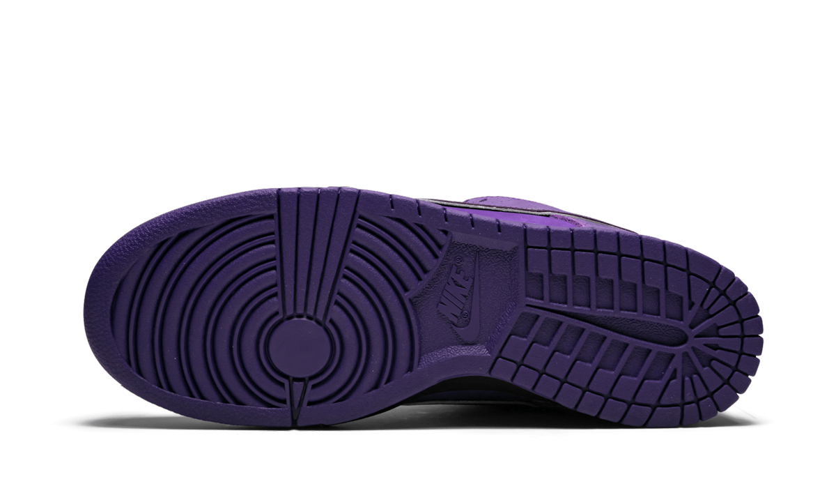 SB Dunk Low Pro OG QS 5