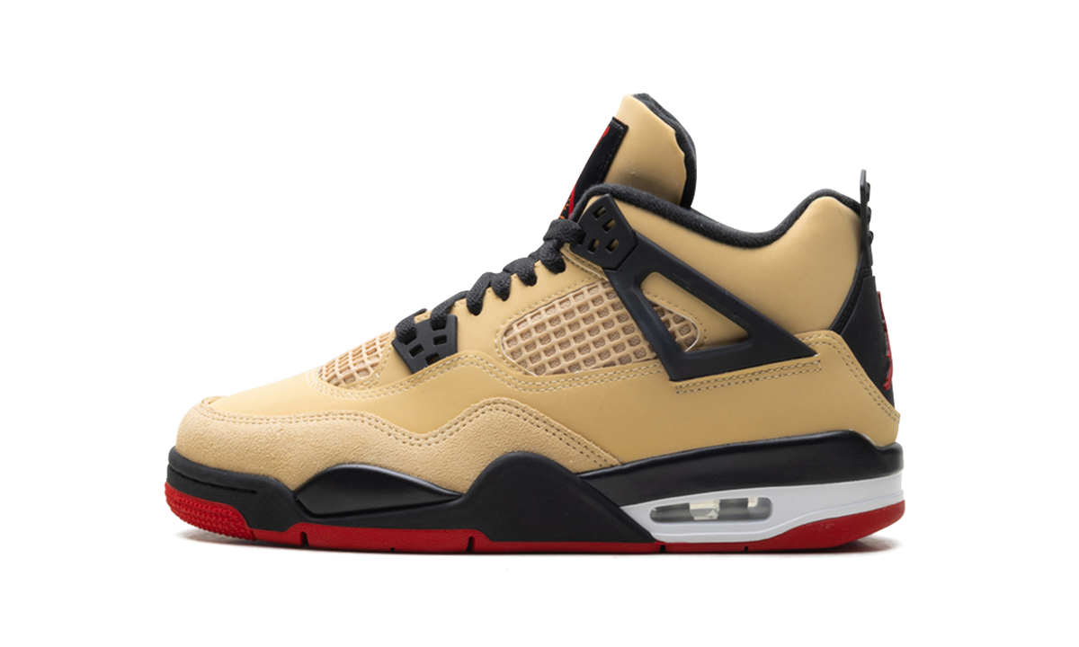 Air Jordan 4 GS 1